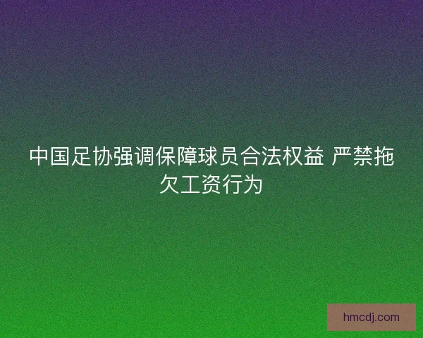 中国足协强调保障球员合法权益 严禁拖欠工资行为