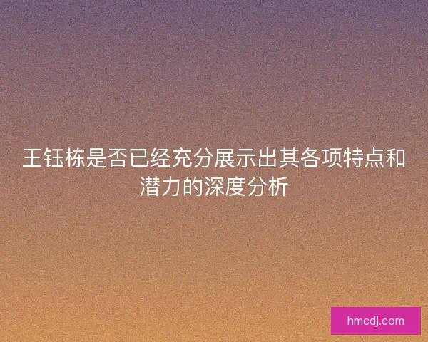 王钰栋是否已经充分展示出其各项特点和潜力的深度分析